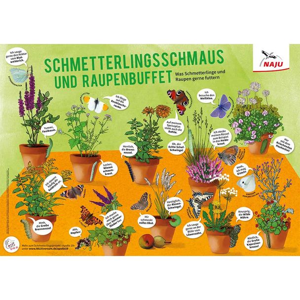 Schmetterlingsschmaus und Raupenbuffet (Poster)