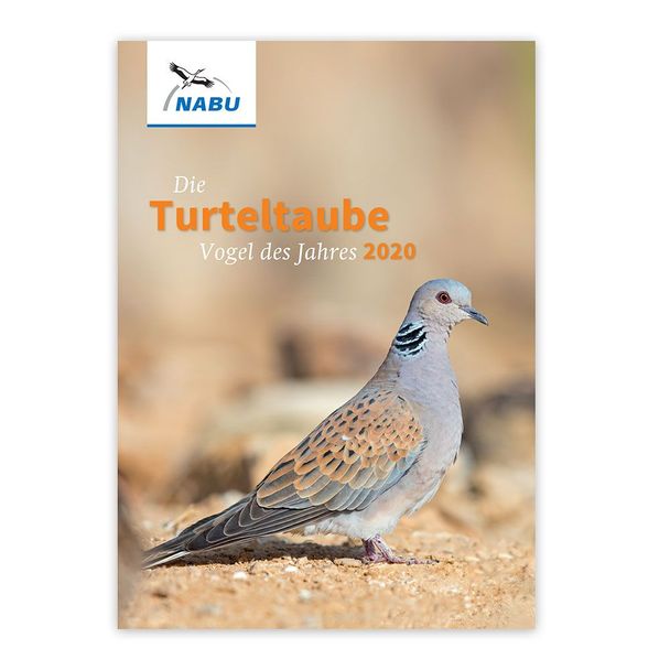 Infobroschüre "Die Turteltaube – Vogel des Jahres 2020"