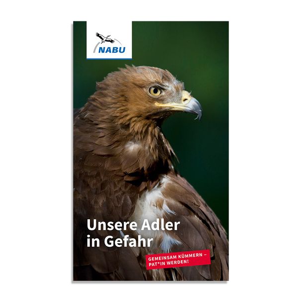 Unsere Adler in Gefahr - Adlerpatenschaft
