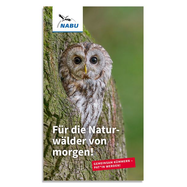 Für die Naturwälder von morgen! - Waldpatenschaft
