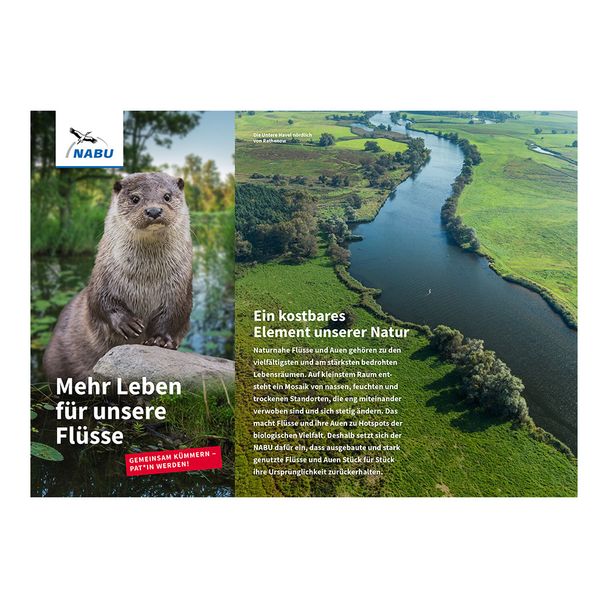 Mehr Leben für unsere Flüsse - Flusspatenschaft