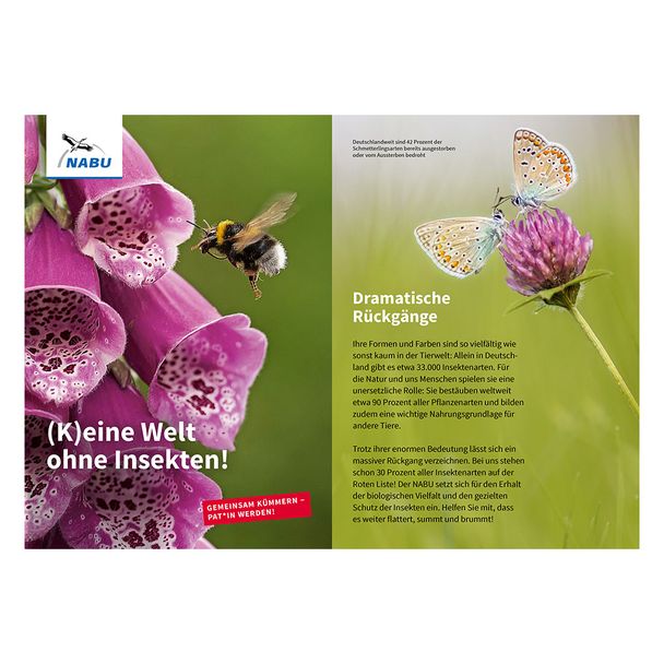 Faltblatt "(K)eine Welt ohne Insekten!" - Insekten-Patenschaft