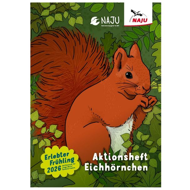 Aktionsheft Eichhörnchen (Print)