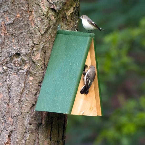 Nistkasten Miami, 28 mm