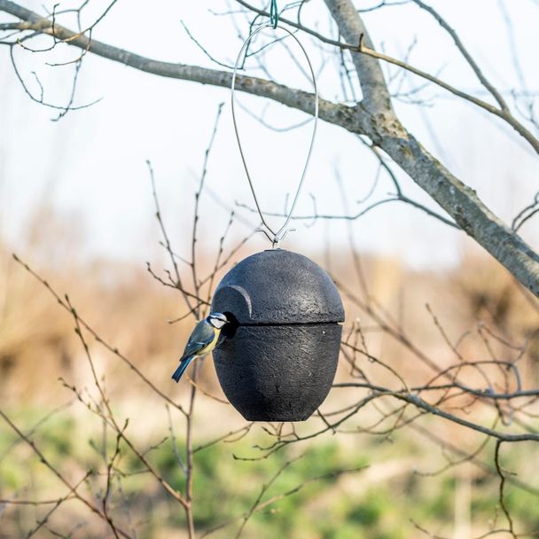 Nistkugel Malaga in schwarz, 32 mm