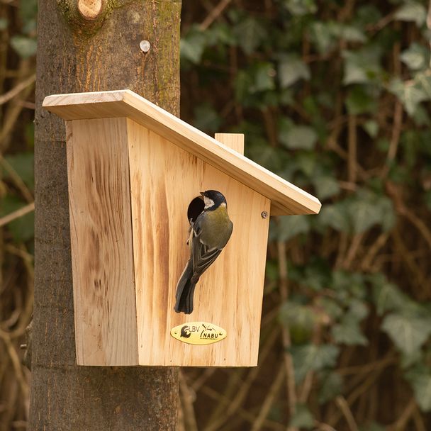 Nistkasten Aldine, 34 mm