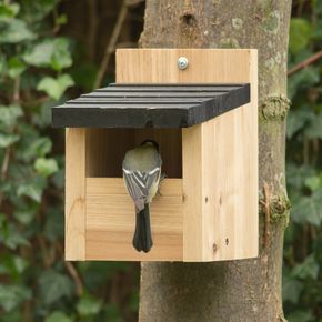 Nistkasten Viborg, halboffen