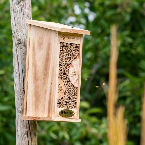 Insektenhotel Marchena