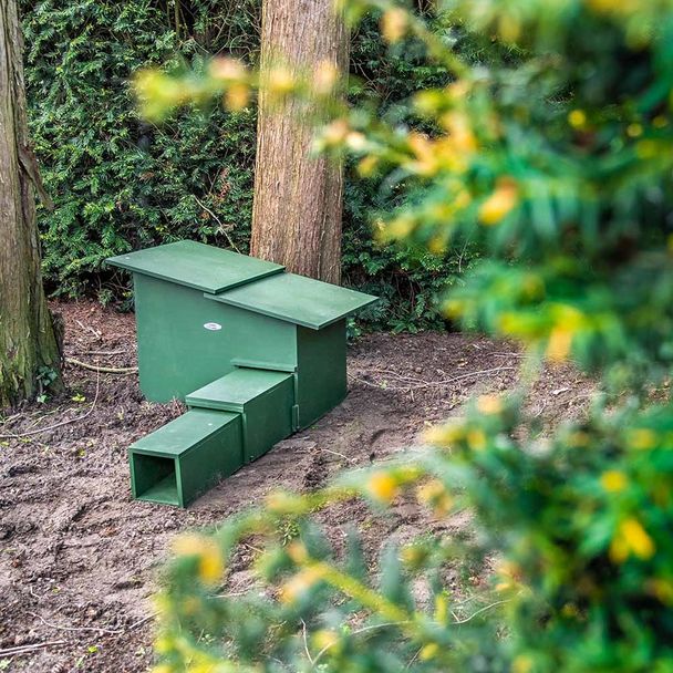 Igelhaus Deluxe XXL - aus 100 % FSC-zertifiziertem Holz